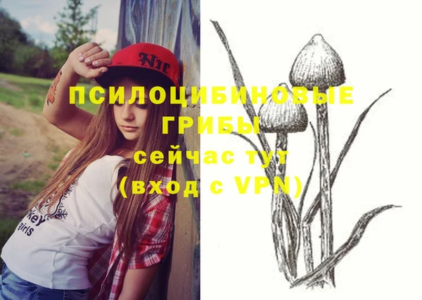 соль курить ск Бородино